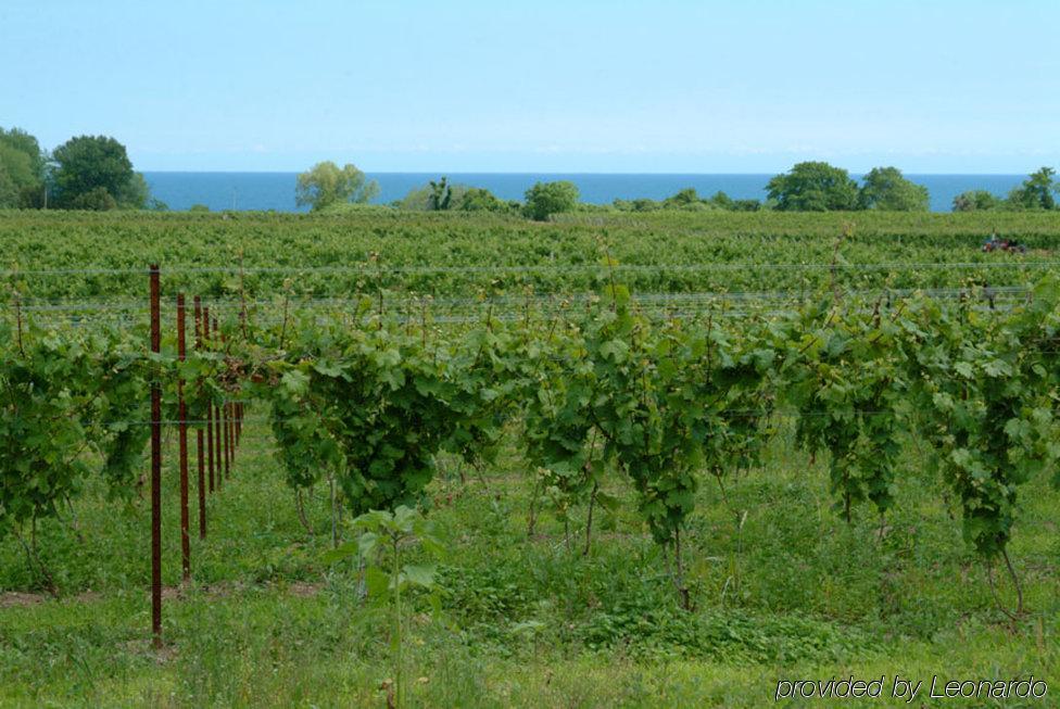 โรงแรมคอมฟอร์ต อินน์ แชตแฮม Chatham-Kent ภายนอก รูปภาพ