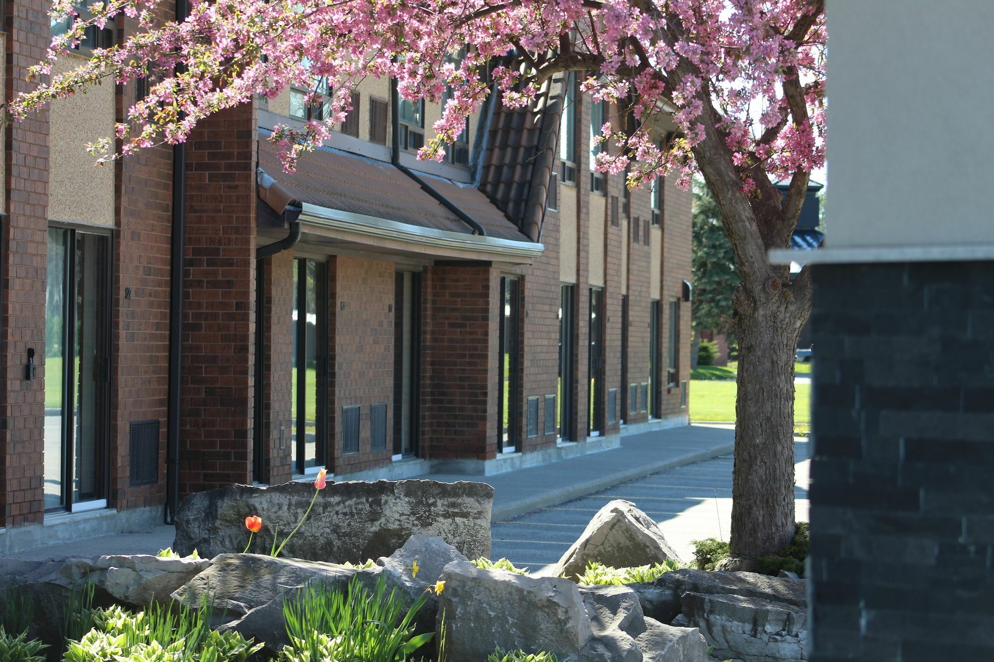 โรงแรมคอมฟอร์ต อินน์ แชตแฮม Chatham-Kent ภายนอก รูปภาพ
